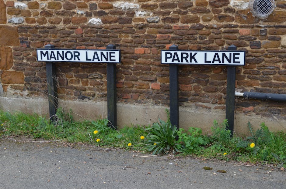 Two black street signs with white backgrounds and black lettering mounted on black posts, positioned in front of a brick wall; the sign on the left reads 'MANOR LANE' and the one on the right reads 'PARK LANE.' The signs are placed on a narrow strip of grass and weeds growing along the edge of a paved pathway. The grass includes some yellow dandelions and green leafy plants, situated close to the base of the signs. The brick wall behind the signs has a reddish-brown hue with visible mortar and some weathering, and a grey pipe runs horizontally along the wall near the right side of the image. The scene suggests an outdoor residential or community setting, with the signs indicating street names, relevant to urban navigation, moving or home relocation contexts where clear signage assists in house removals or furniture transport planning.