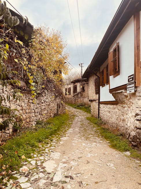 A narrow, uneven cobblestone pathway runs between old stone and white-painted houses with wooden shutters, situated along a rustic alleyway. One house on the right features two closed wooden window shutters, with a small sign visible below one of the windows. The pathway is bordered by patches of grass and moss, with some fallen leaves scattered along its length. Overhead, electrical wires run between the buildings, and trees with autumn foliage are visible in the background, suggesting a quiet residential area. Although not explicitly shown, the setting implies the possibility of ongoing house clearances or moving activities, with Man with Van Turnpike Lane potentially providing relocation services in this area.